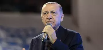 Erdoğan: FETÖ'nün hala çeşitli yapılara sızma girişimlerinin sürdüğünü görüyoruz