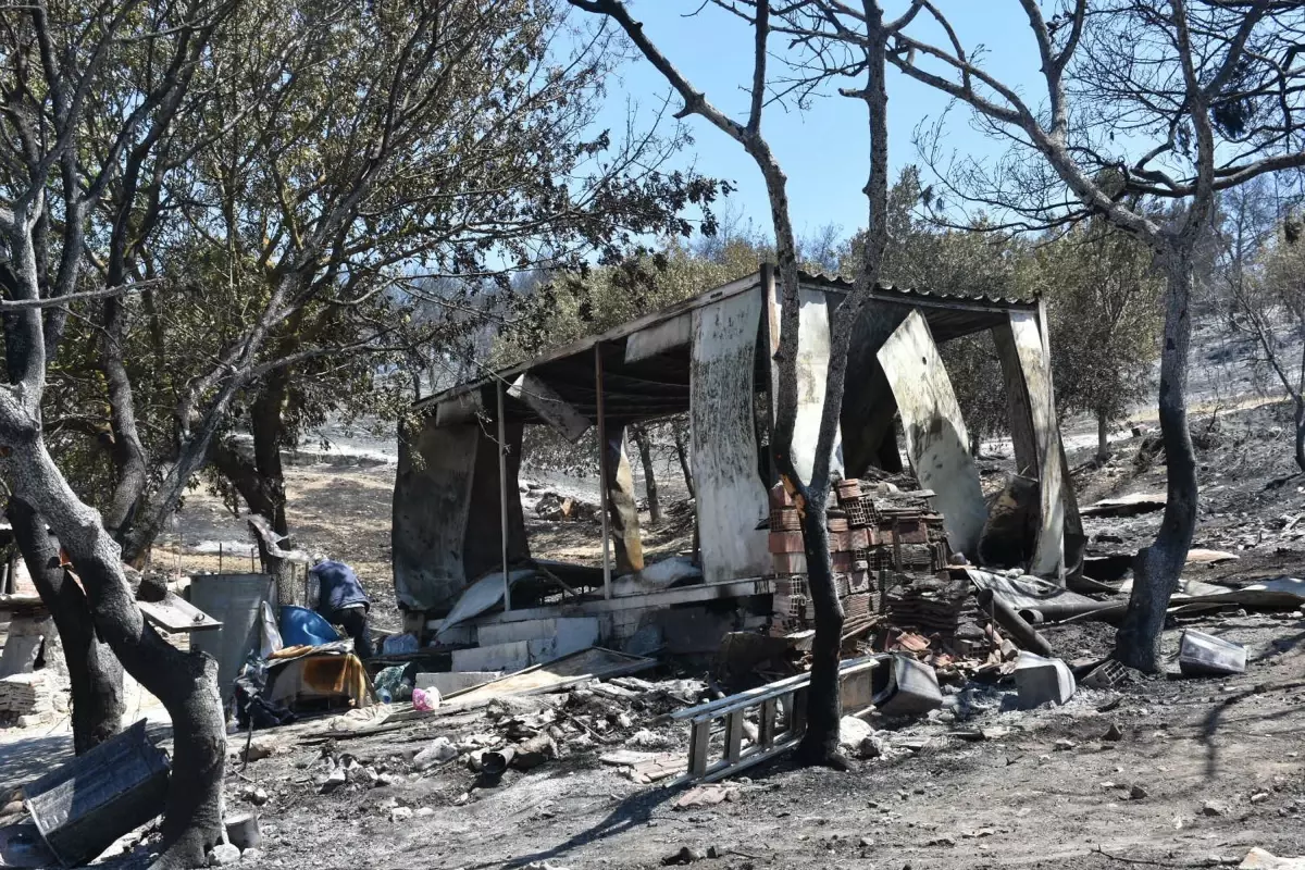 İzmir'de Yangın Felaketi: Ahırdaki Hayvanlar Zor Belayla Kurtarıldı