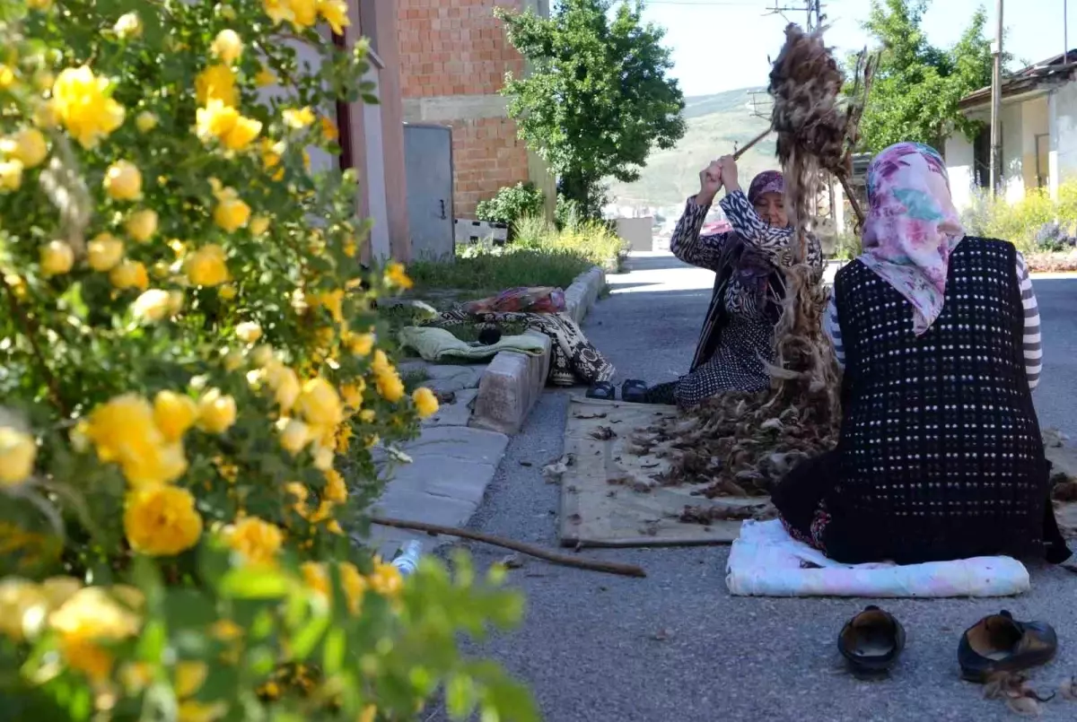 Bayburtlu Kadınlar Yün Çırpma Geleneğini Sürdürüyor