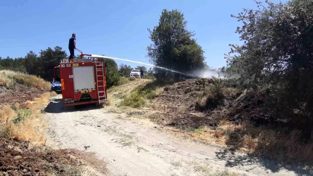 Bolu'da Kuru Ot Yangınına Köylüler Müdahale Etti