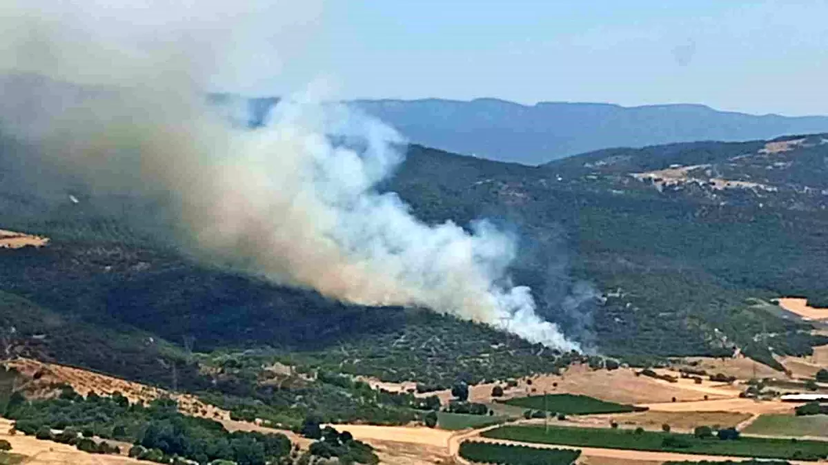 Bursa'da Orman Yangınına Hızlı Müdahale