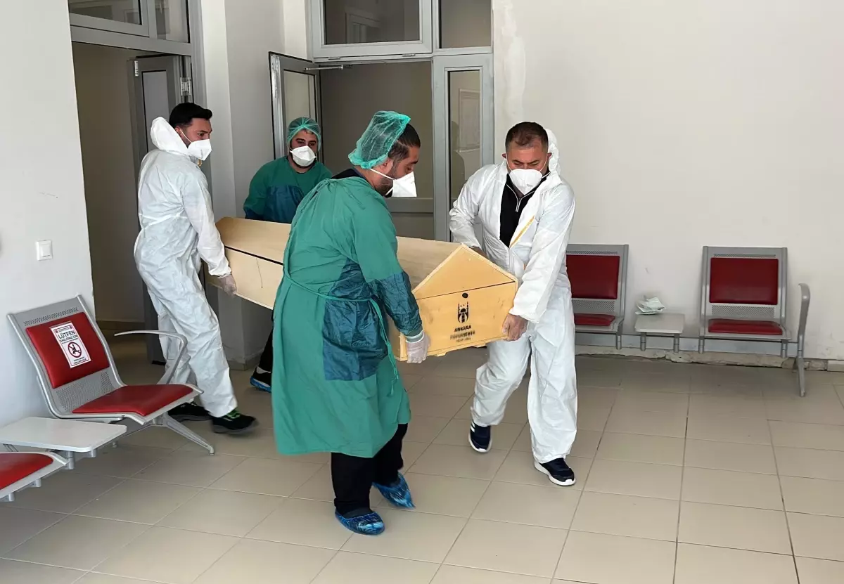 Kene Isırması Nedeniyle Bir Kişi Hayatını Kaybetti