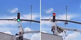 18 tekerlekli tır, trafik ışıklarının bakımını yapan işçiye çarptı