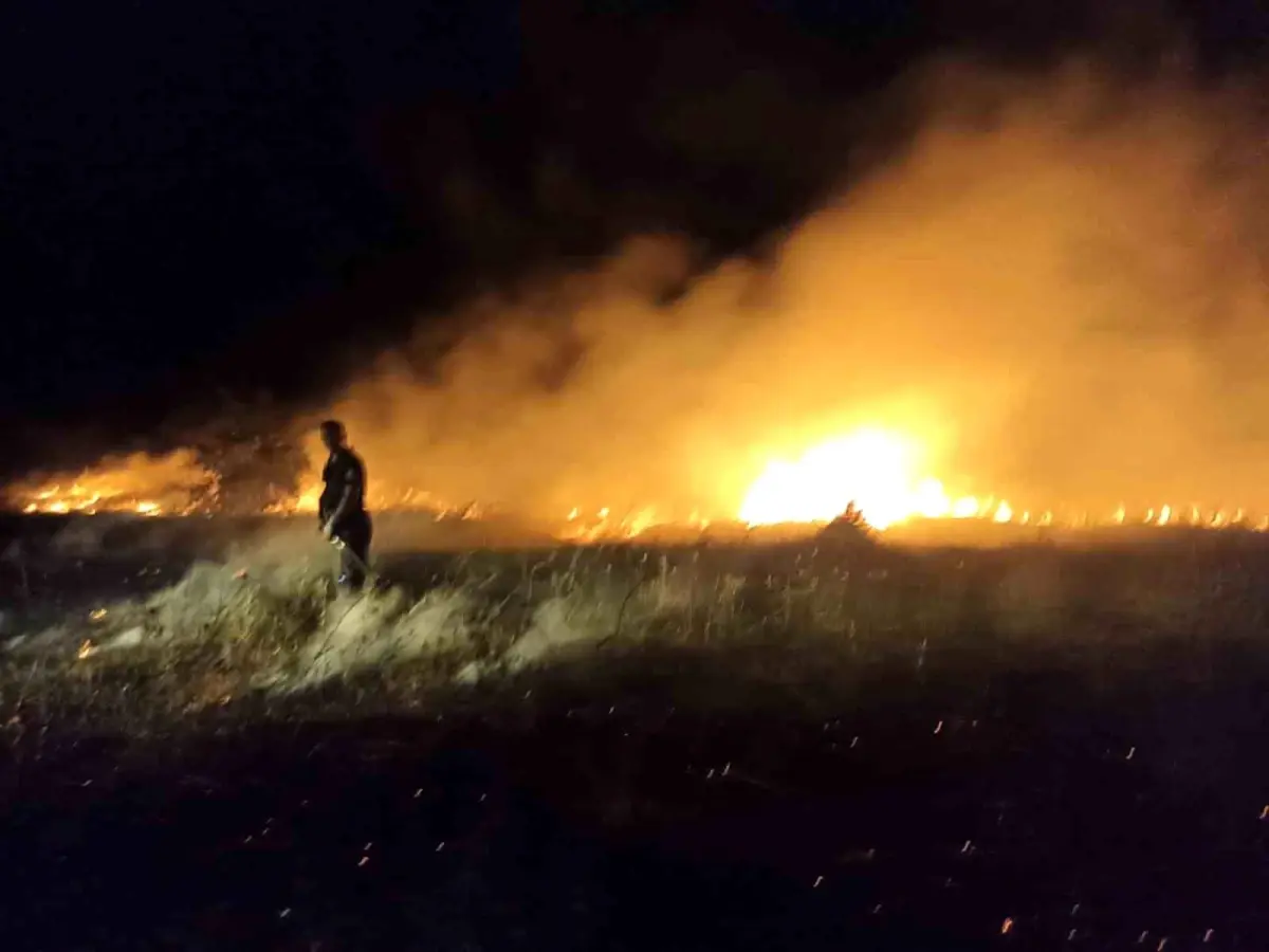 Malatya'da Bahçe ve Sazlık Yangını Kontrol Altına Alındı