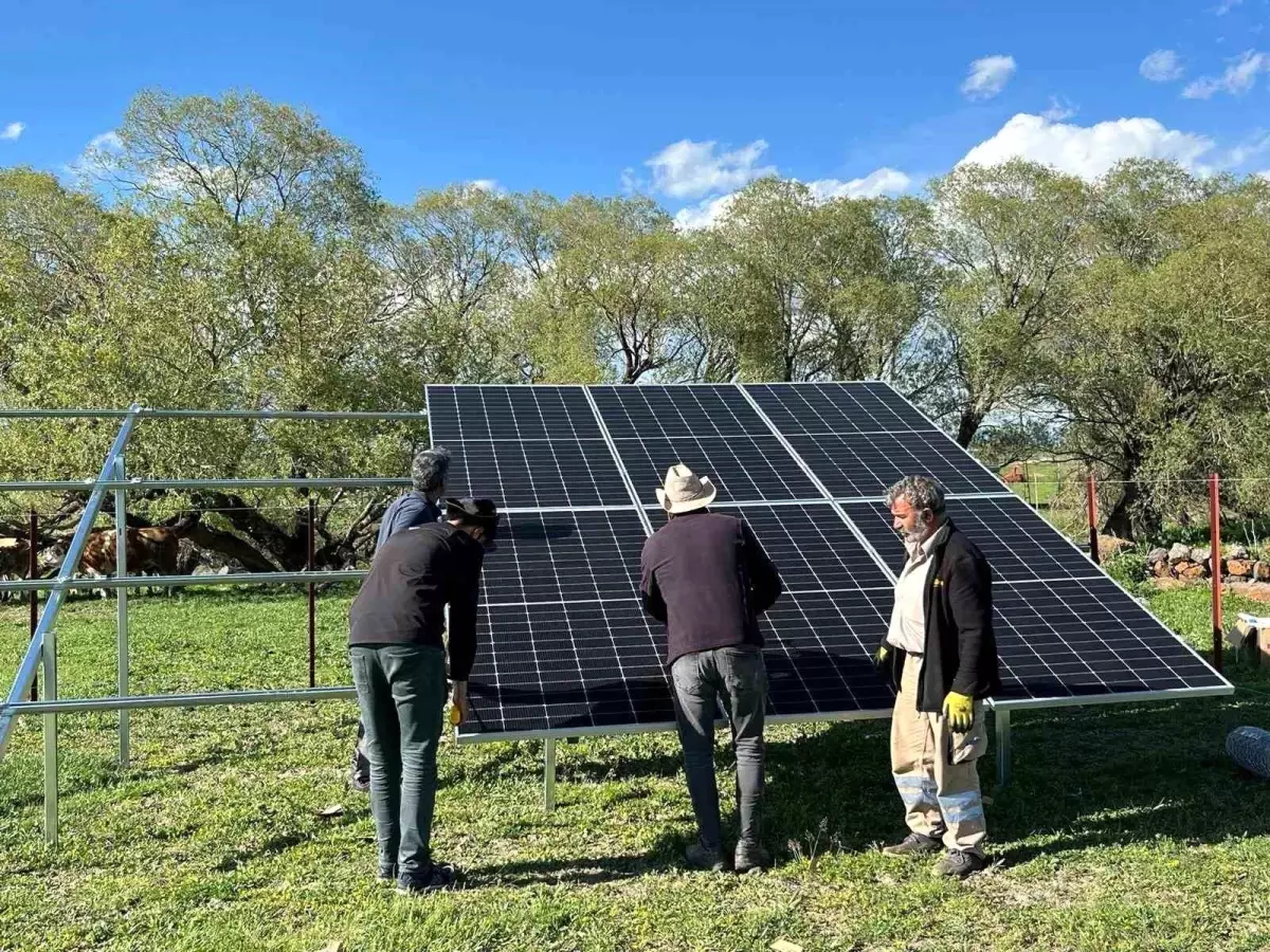 Akyaka'da Muhtarın Güneş Enerjisi ile Örnek Davranışı