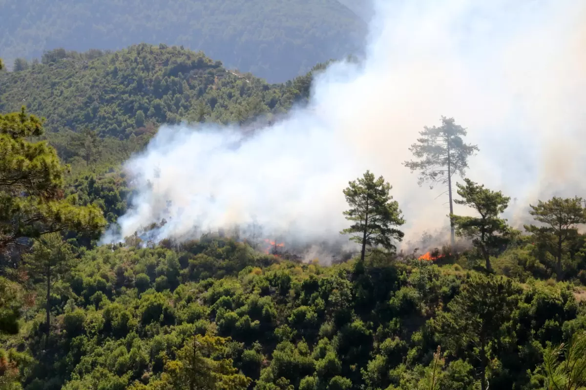 Alanya'da Şiddetli Rüzgar ve Orman Yangınlarıyla Mücadele