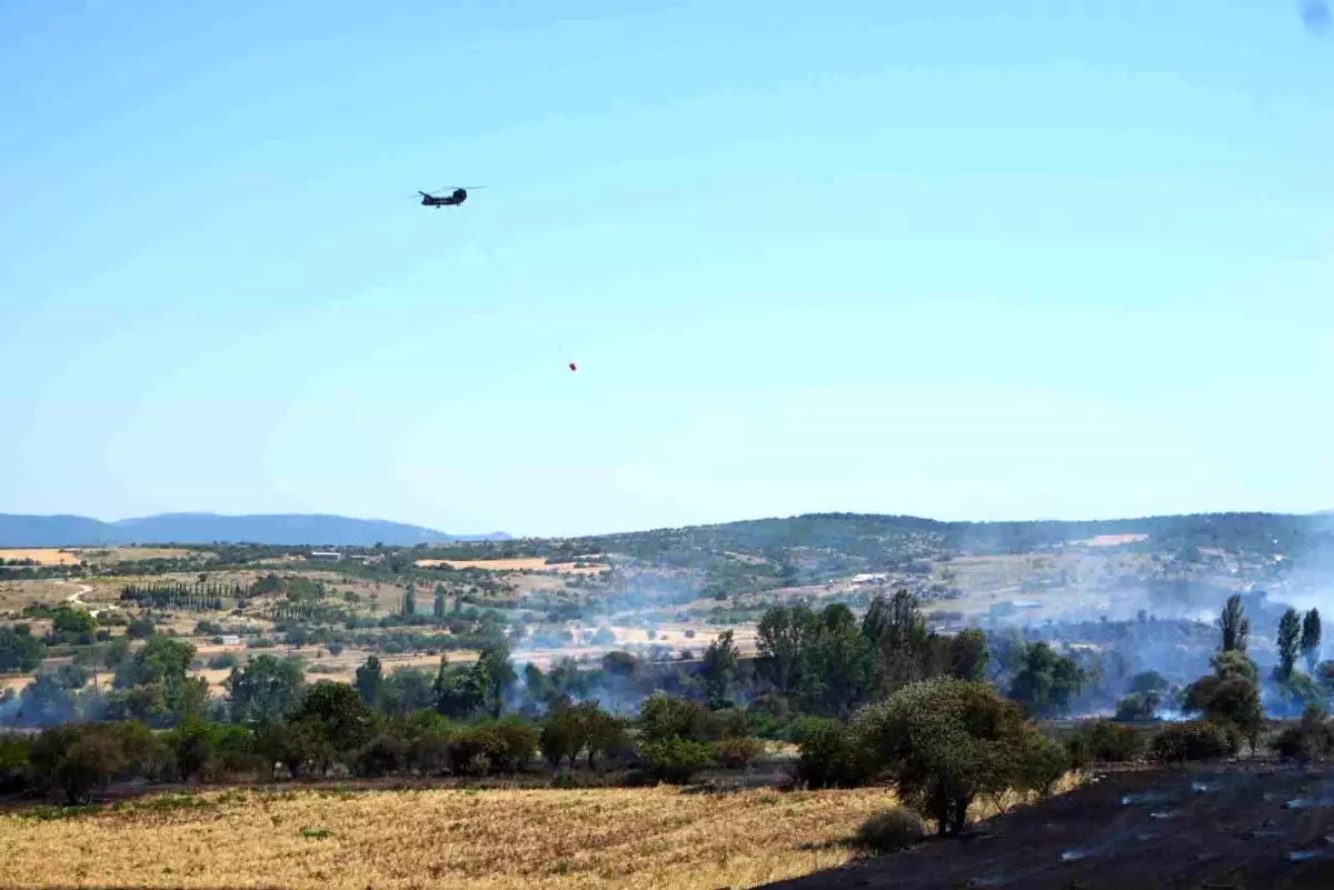 Balıkesir'deki Tarım Arazisinde Yangın: Havadayla ve Karadan Müdahale Devam Ediyor