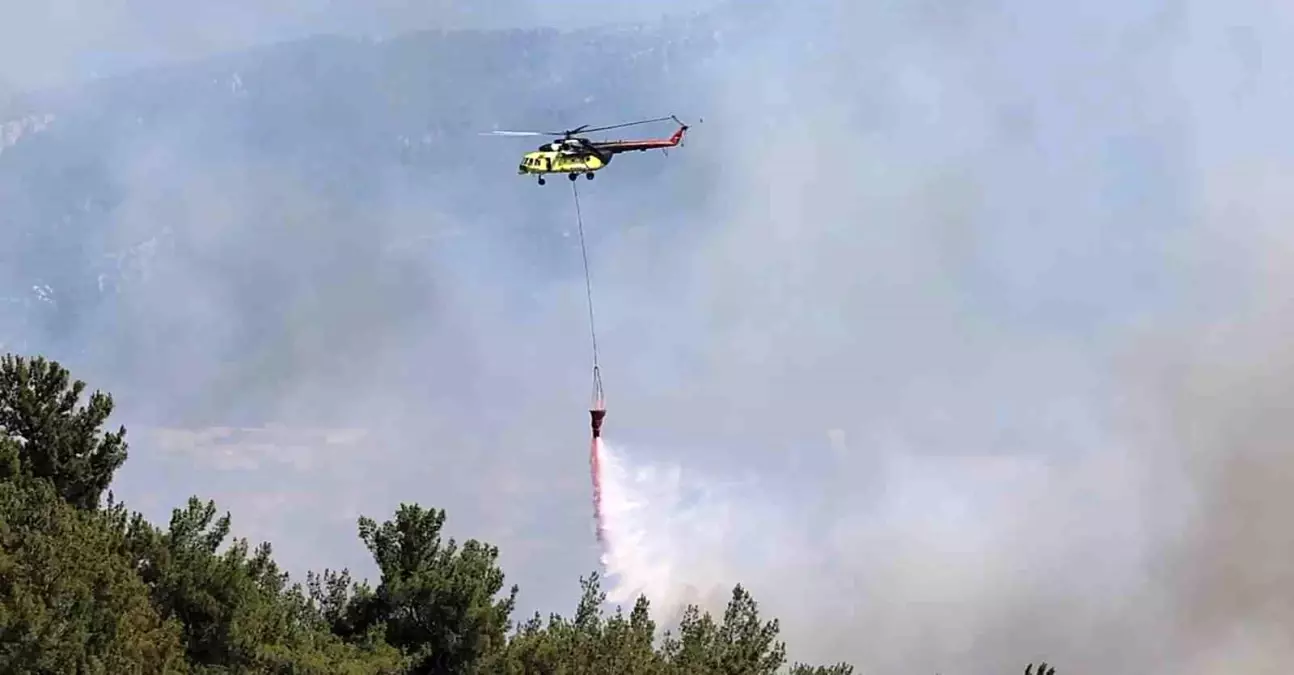 İzmir'de Orman Yangını: Havadan Mücadele Devam Ediyor