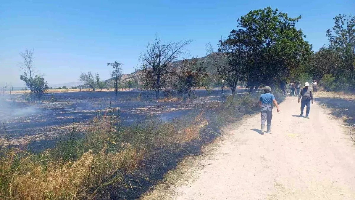 Burdur'da Yangın: 8 Dönüm Arazi Zarar Gördü