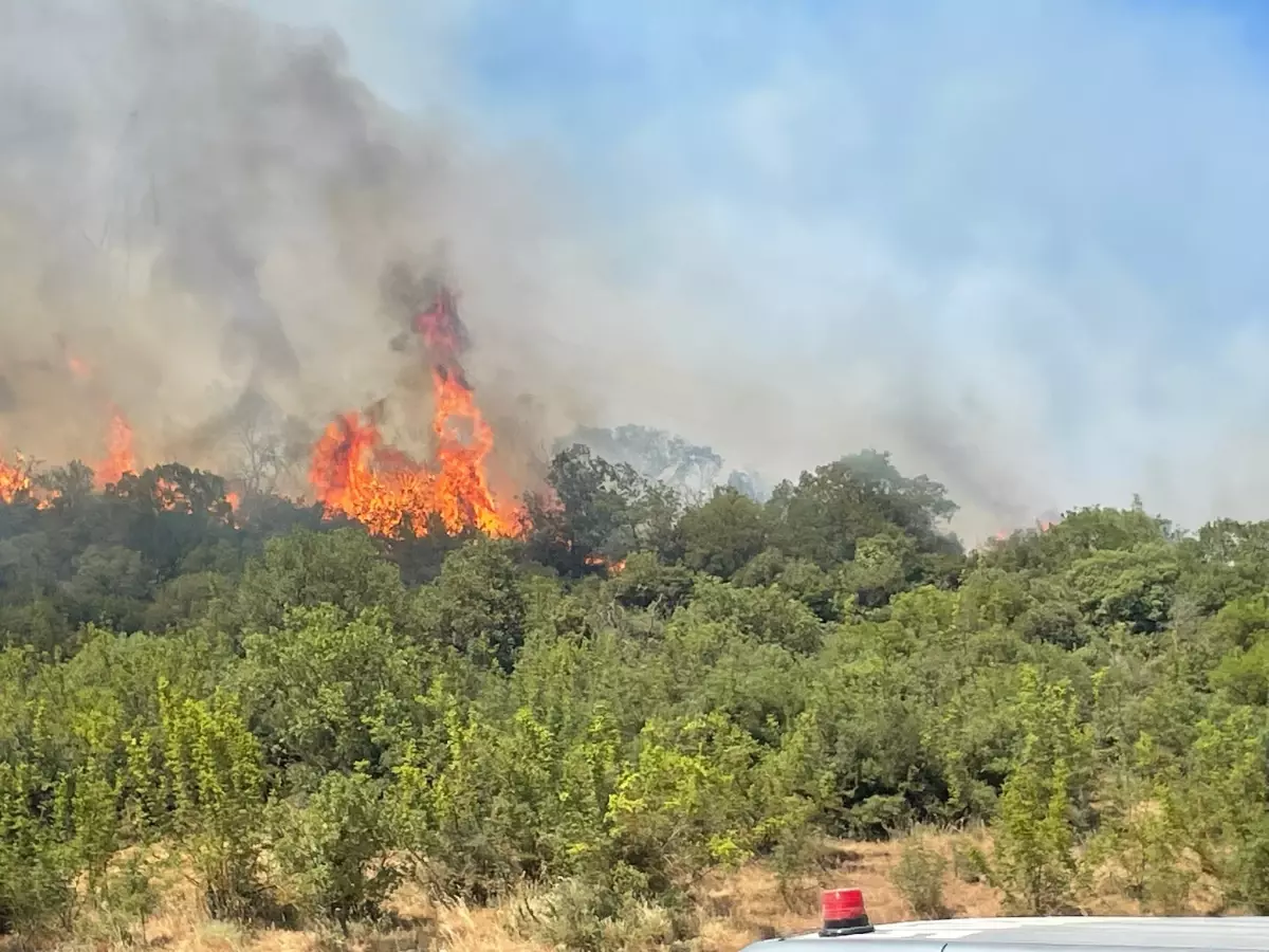 Bursa'nın Yenişehir İlçesinde Orman Yangını
