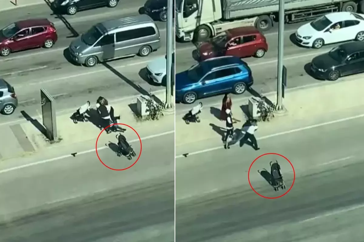 Dilencilerin kavgası nasıl sömürüldüğümüzü ortaya çıkardı