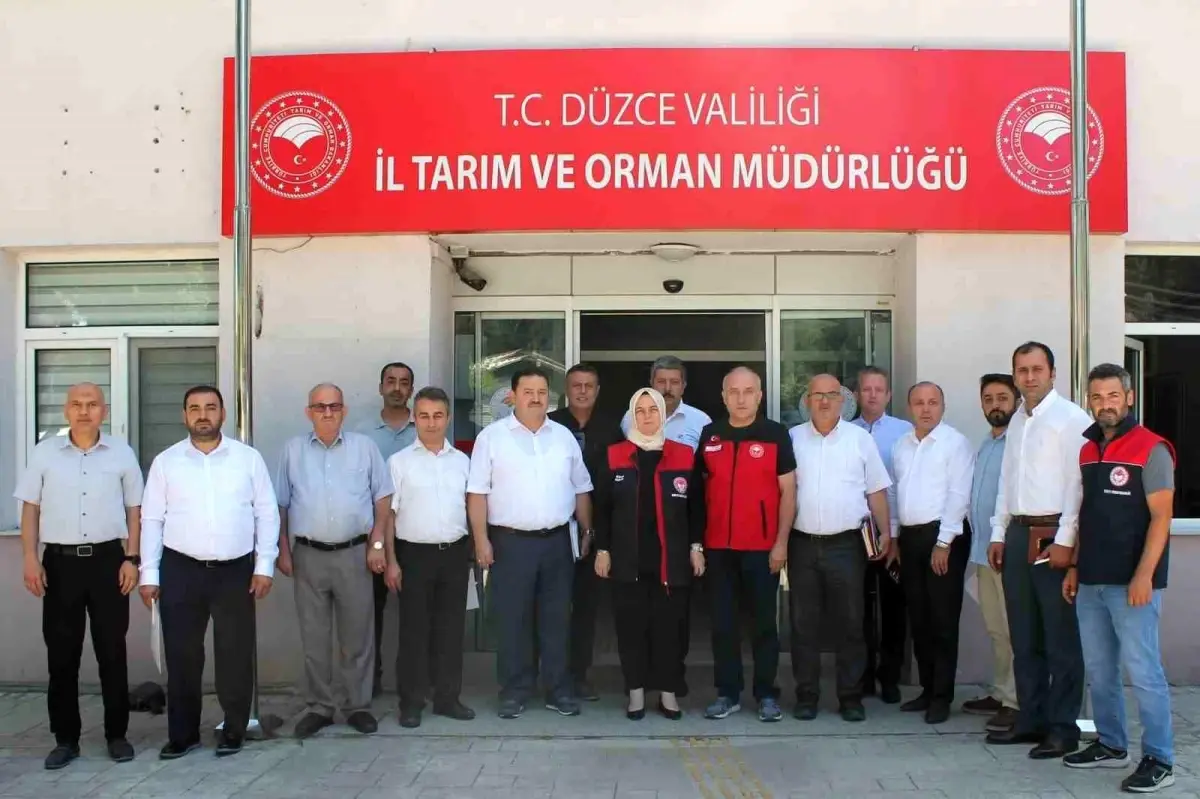 Hayvancılık Faaliyetleri Yerinde İncelendi