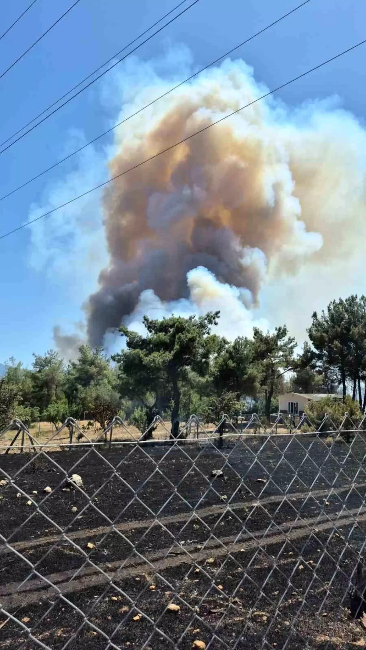 İzmir Bornova'da Yangın: Havadan ve Karadan Müdahale Ediliyor