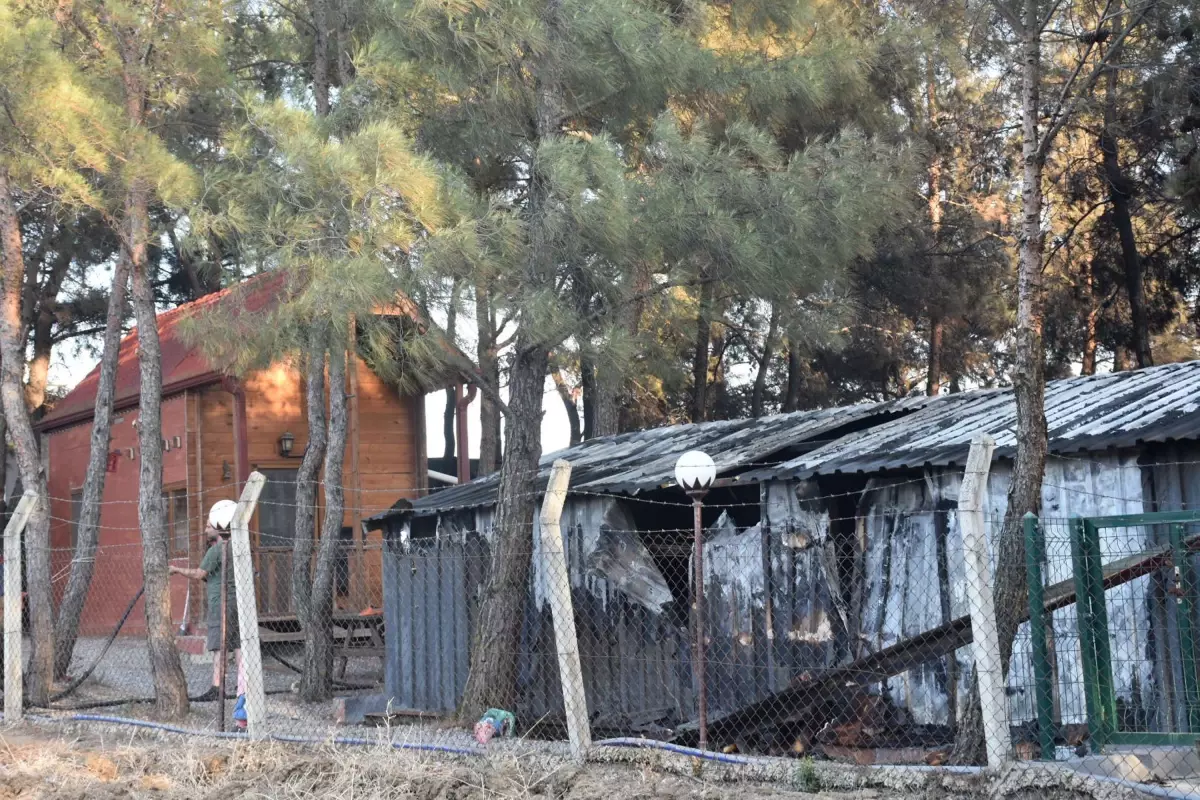 İzmir'de Orman Yangını: Evler ve Araçlar Zarar Gördü