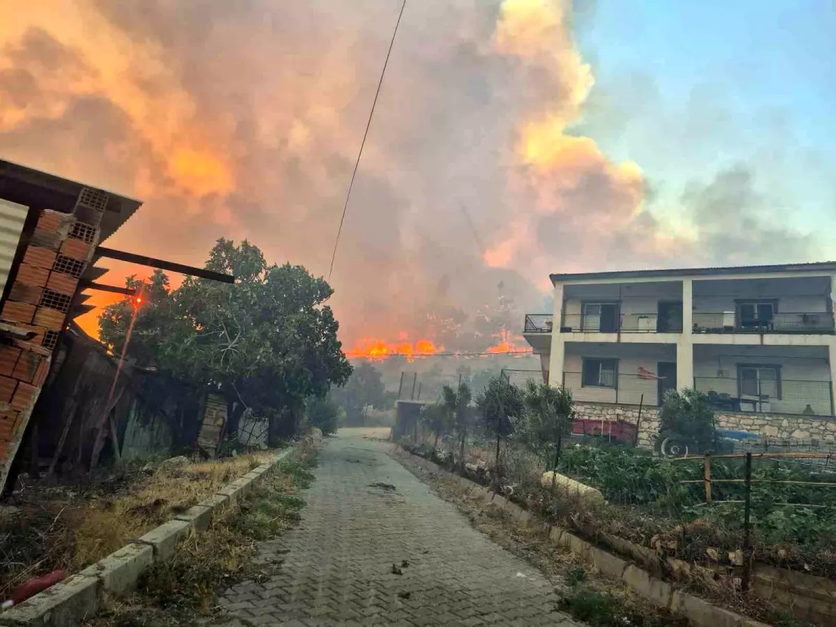 İzmir Aliağa'da Orman Yangını Kontrol Altına Alındı