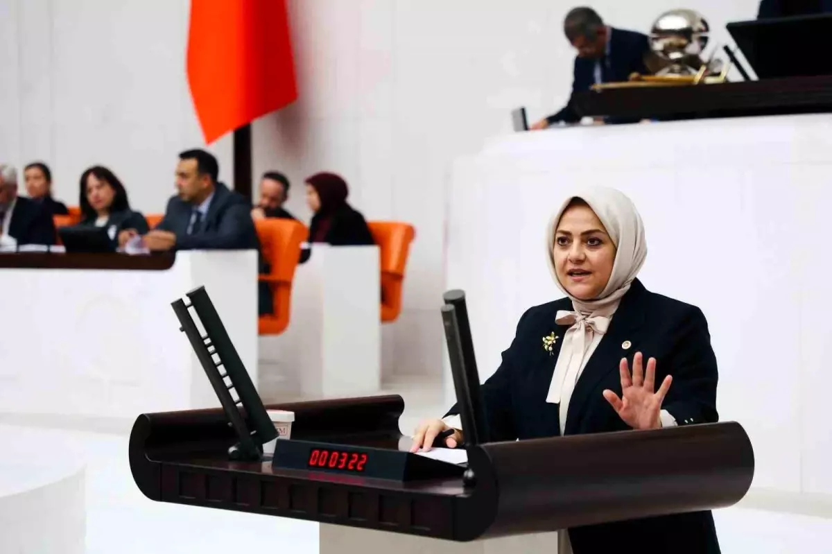 Sema Silkin Ün'den İklim Kanunu'na Sert Eleştiriler