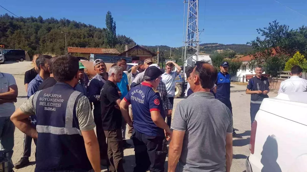 Sakarya'da Orman Yangını: Tahliyeler ve Müdahale Sürüyor
