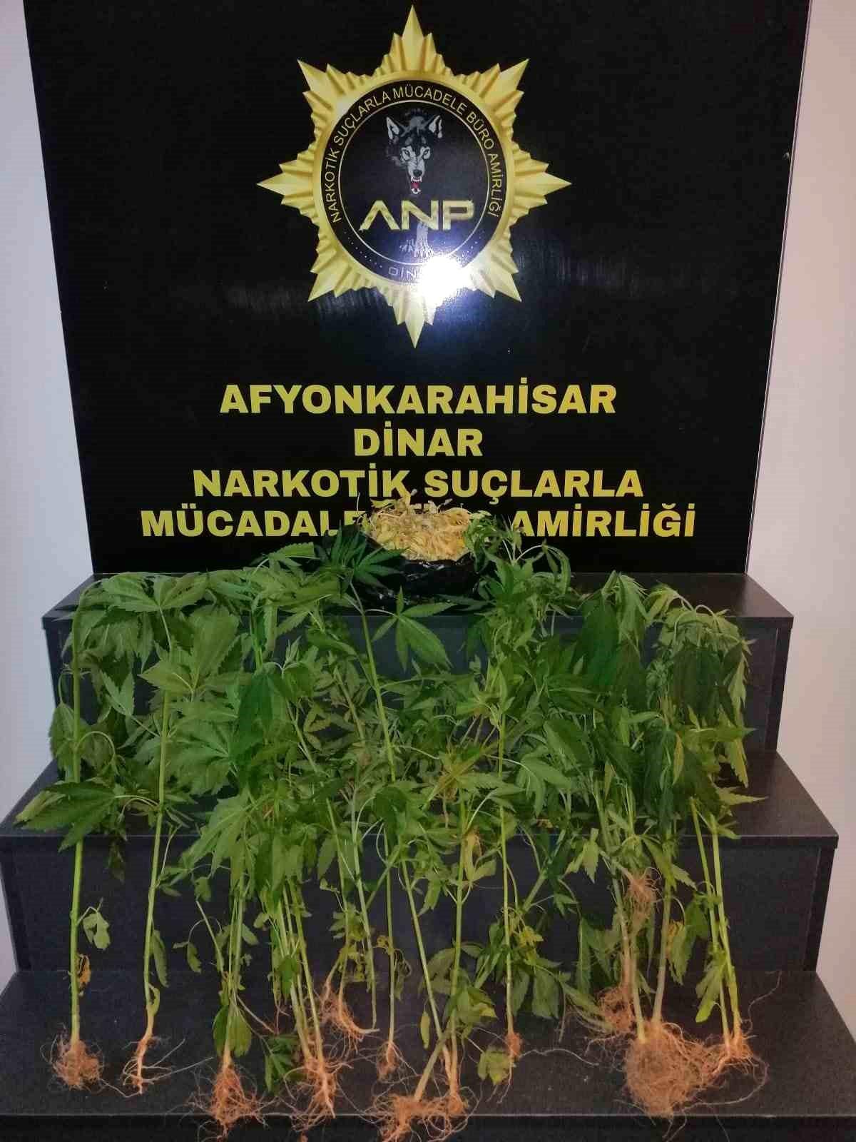 Afyonkarahisar'da Uyuşturucu Baskını: 37 Kök Hint Keneviri Ele Geçirildi