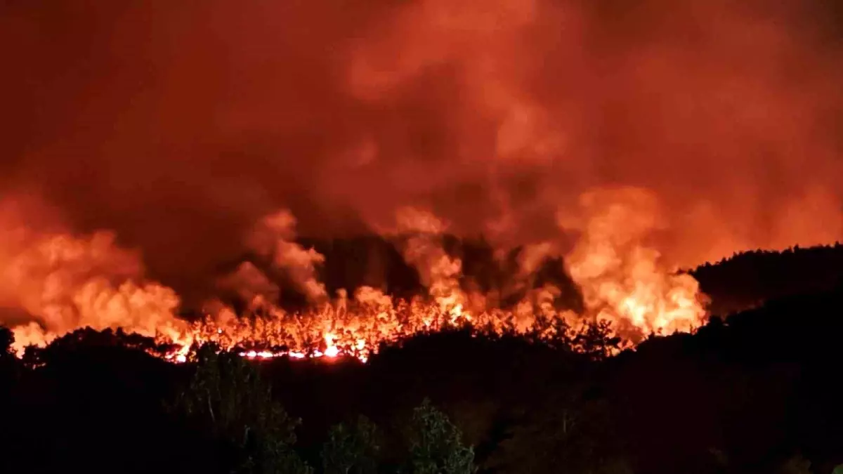 Sakarya Taraklı'da Orman Yangını Kontrol Altına Alınamadı