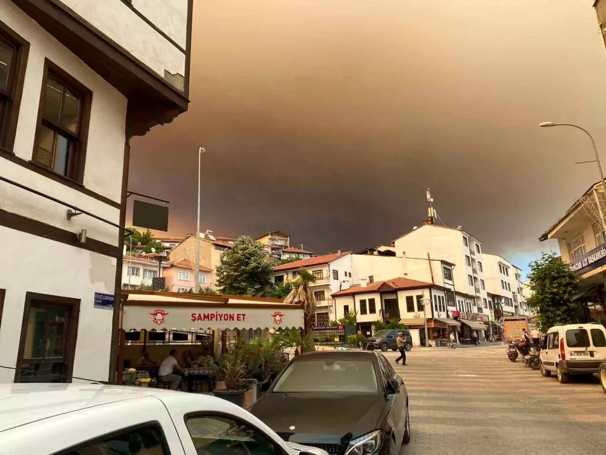 Sakarya'da Orman Yangını: Bir Köy Boşaltıldı