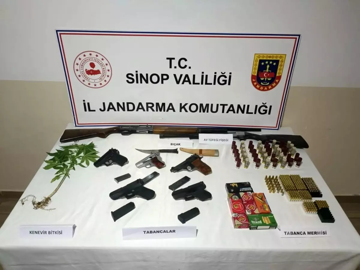 Sinop'ta Jandarma Operasyonu: 5 Ruhsatsız Tabanca ve Kenevir Ele Geçirildi