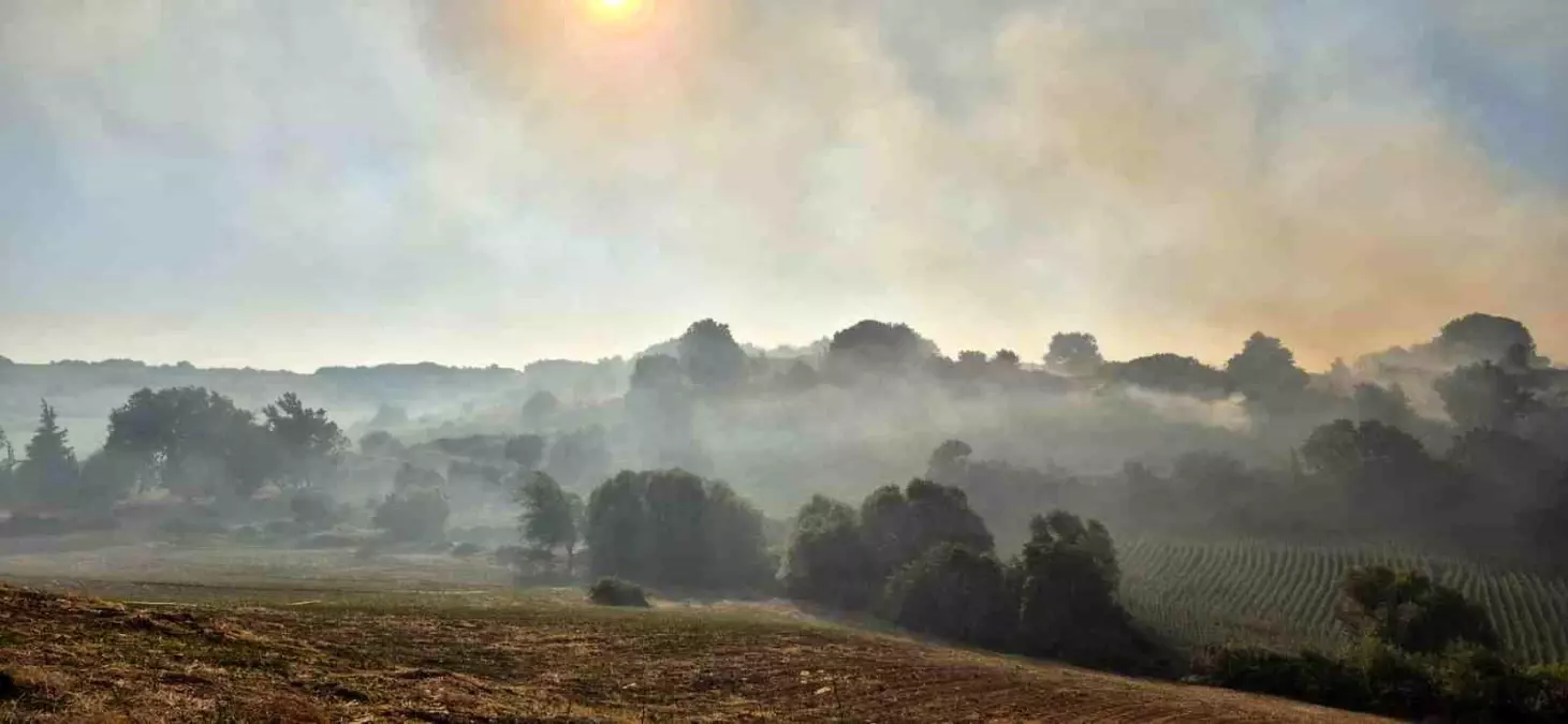 Balıkesir'de Arazi Yangını Kontrol Altına Alındı