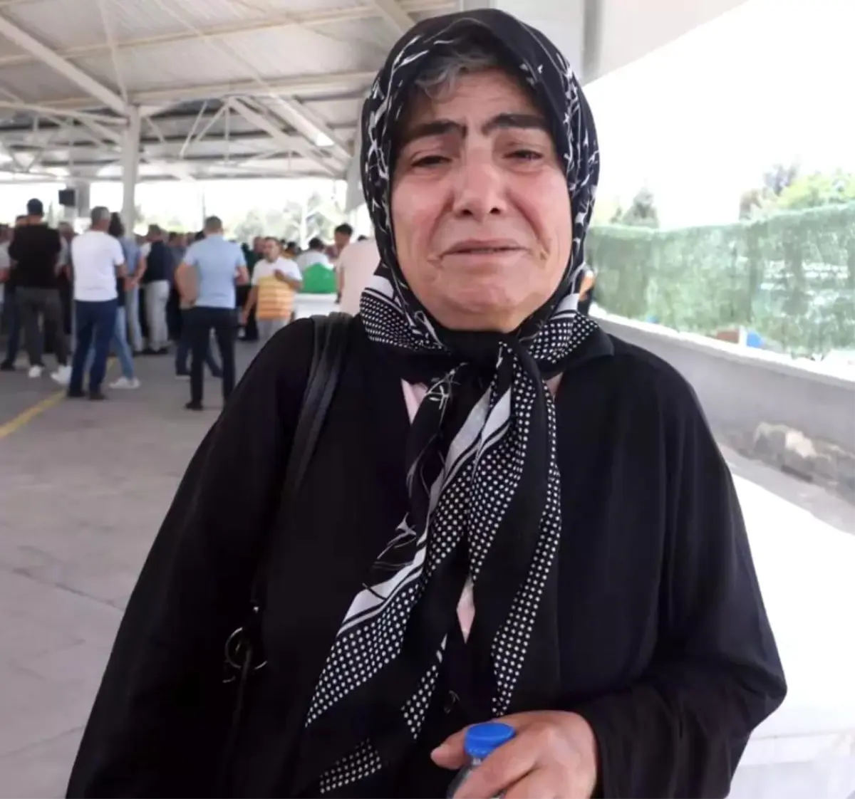 Engelli Kedi Sahibi Acılı Anneye Teslim Edildi