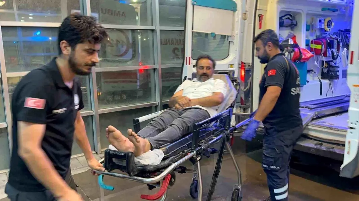 Adıyaman'da Akrep Sokması: Bir Kişi Hastaneye Kaldırıldı