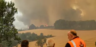 Alevlerle mücadele devam ediyor! İşte orman yangınlarında son durum