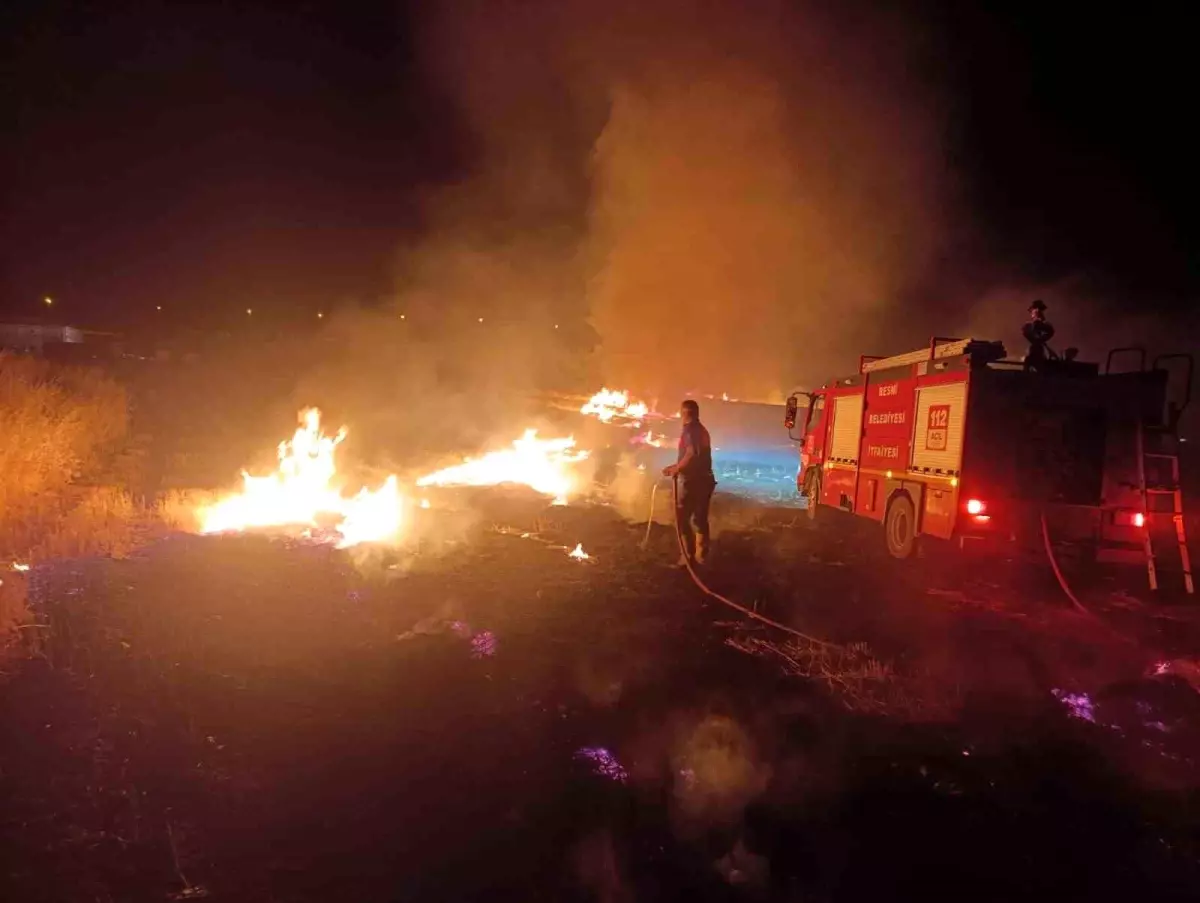 Adıyaman'da Anız Yangını: Ağaçlar ve Kablolar Zarar Gördü
