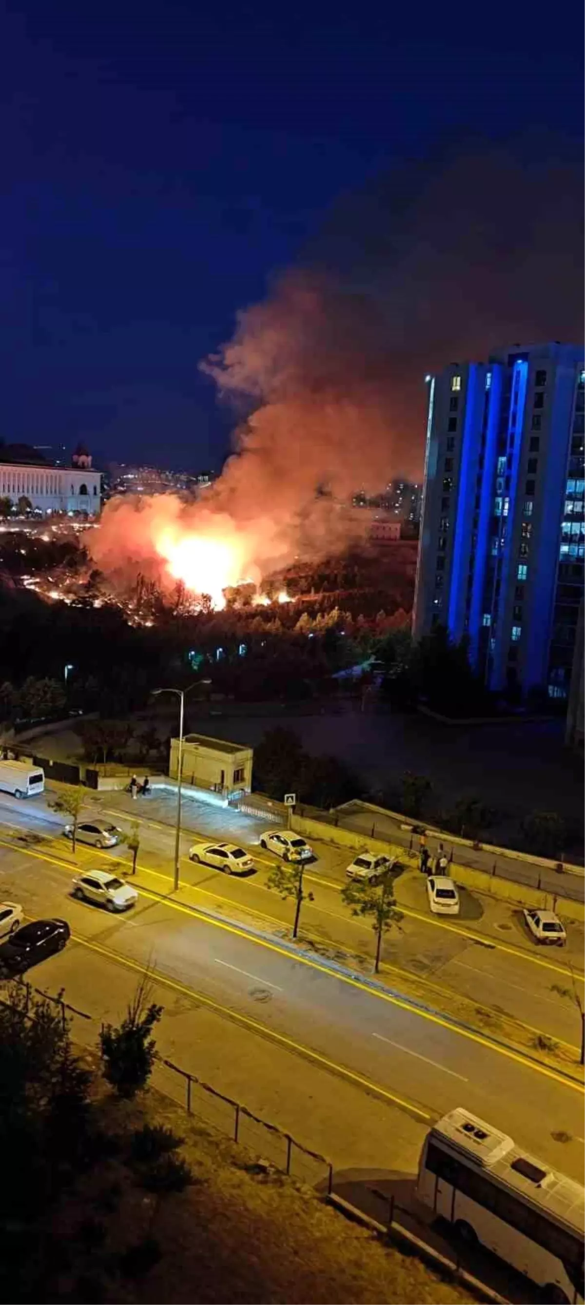 Ankara'da Boş Arazide Yangın: İtfaiye 2 Saatte Söndürdü