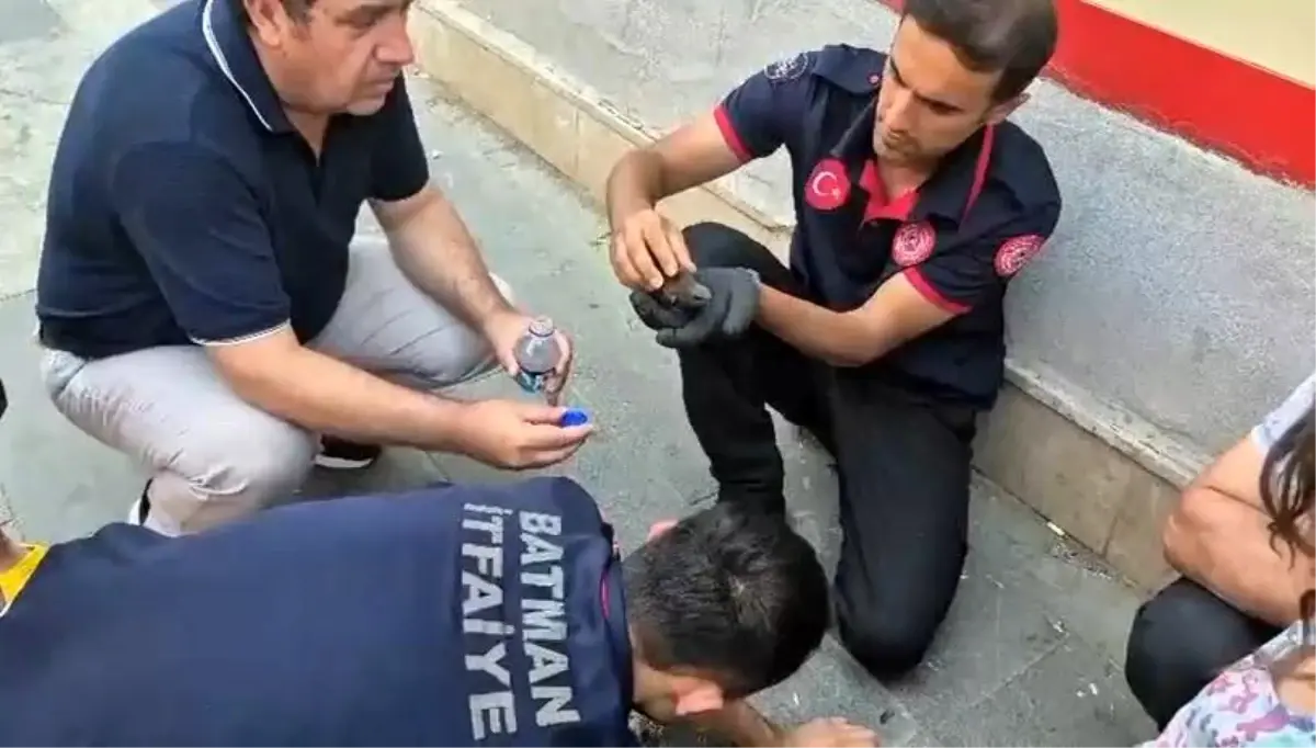 Batman'da Sıkışan Ebabil Kuşları Kurtarıldı