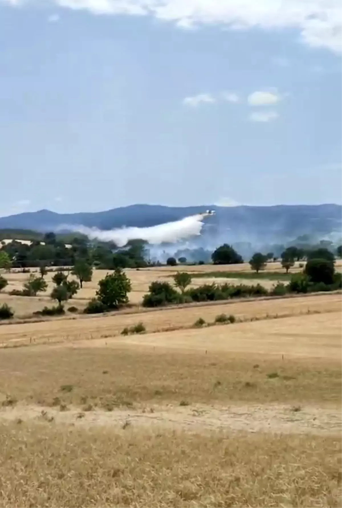 Çanakkale'de Tarım Arazisinde Yangın Kontrol Altına Alındı