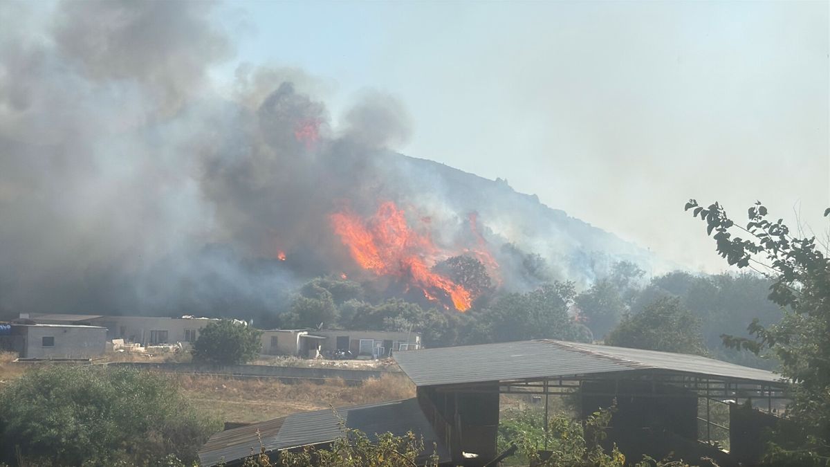 Bodrum'da Maki Yangını: Hava ve Kara Ekipleri Müdahale Ediyor