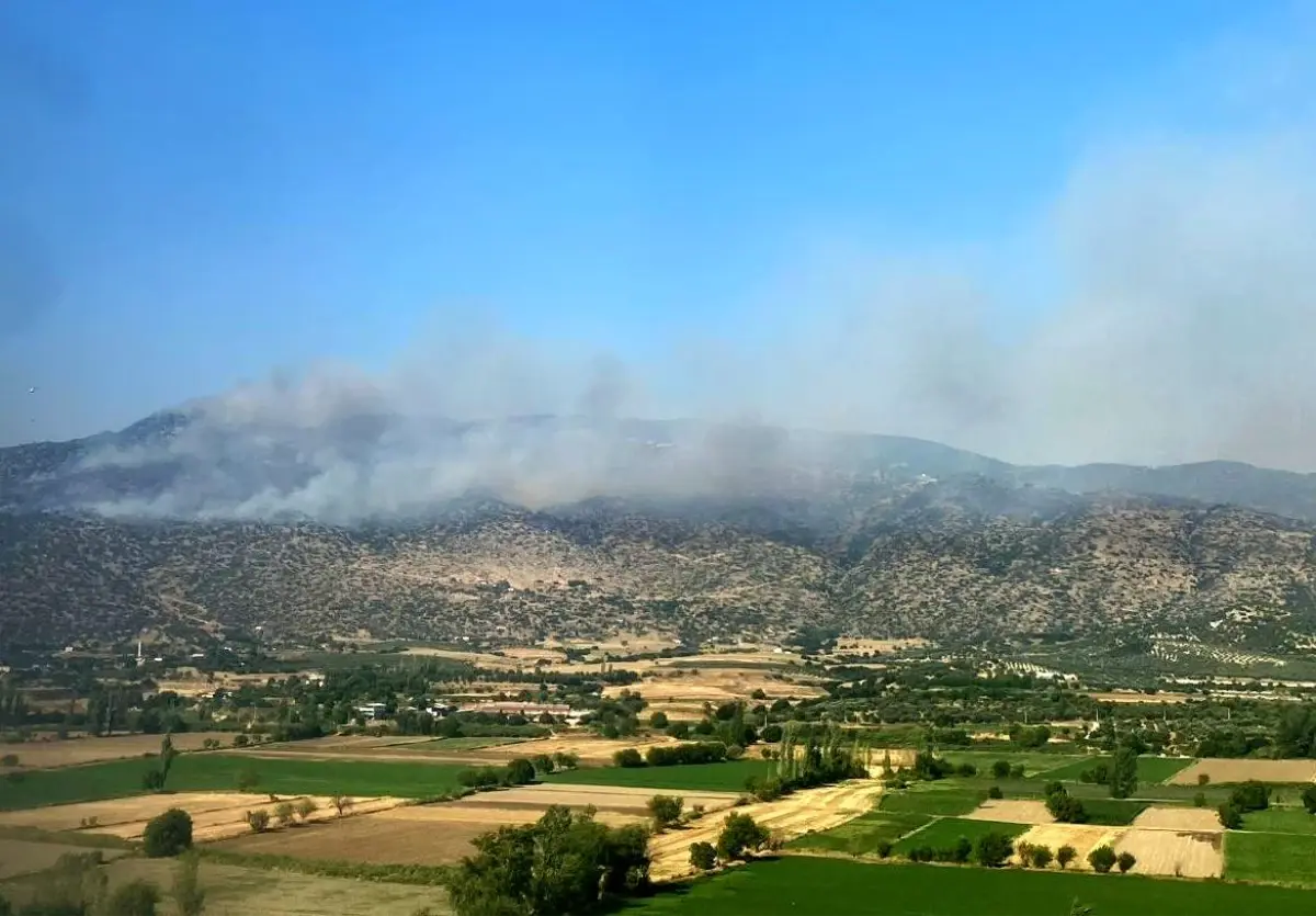 Aydın'da Makilik Arazide Yangın Çıktı