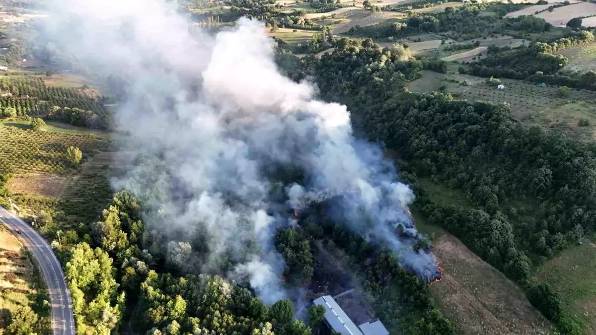 Bursa'da Çöplükteki Yangın Ormana Sıçradı