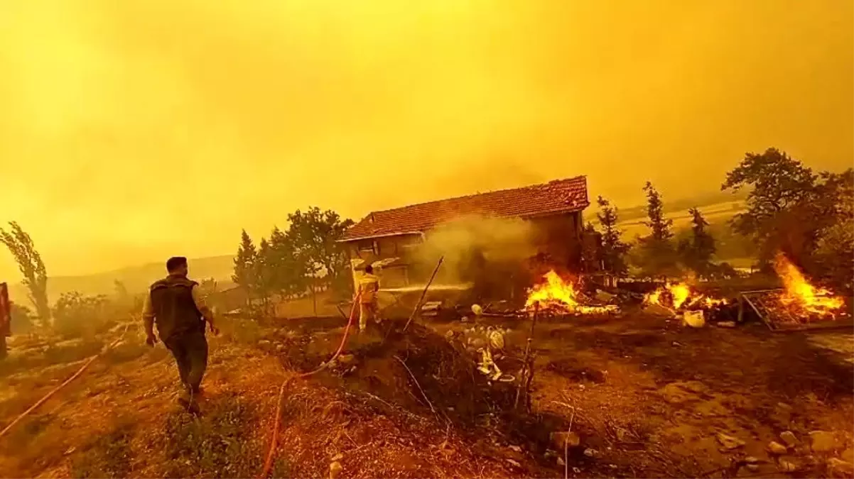 Sakarya'daki Orman Yangını Bilecik'e Sıçradı: 3 Ev Alevlere Teslim Oldu