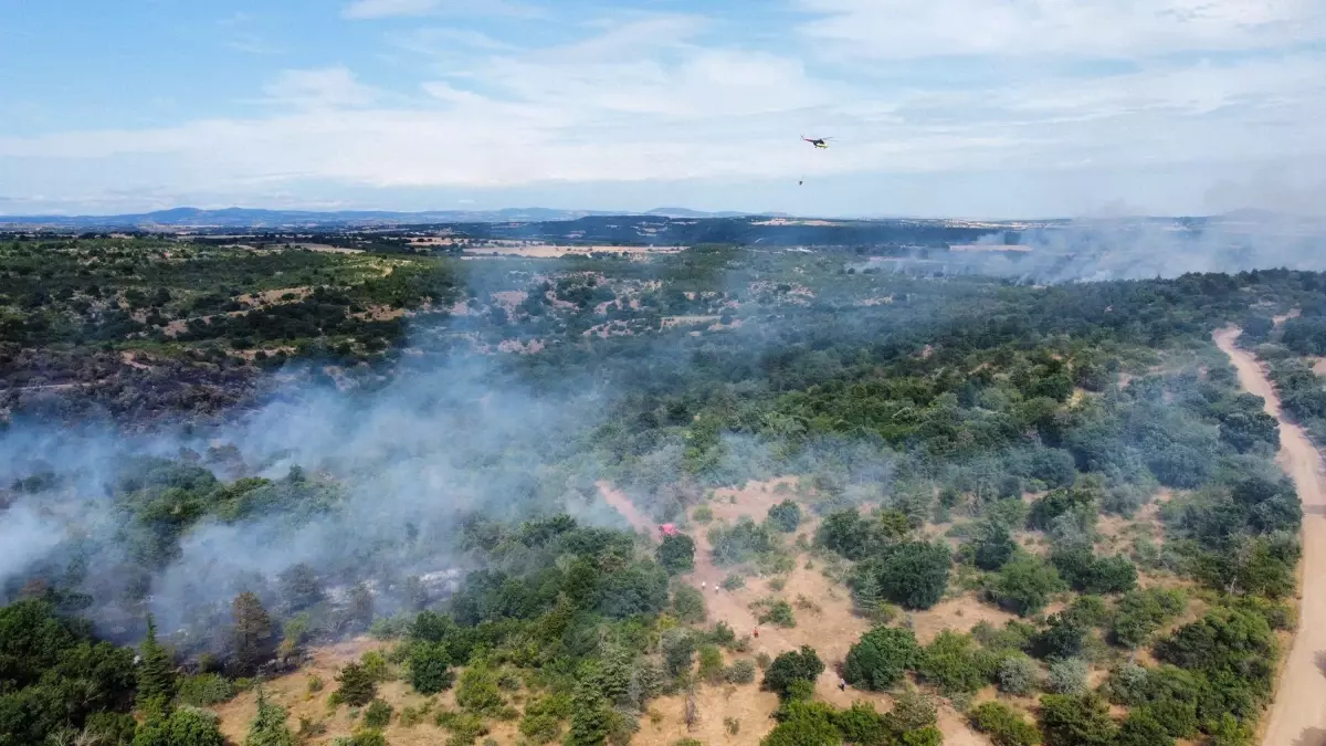 Edirne'de Orman Yangını: Ekipler Seferber Oldu