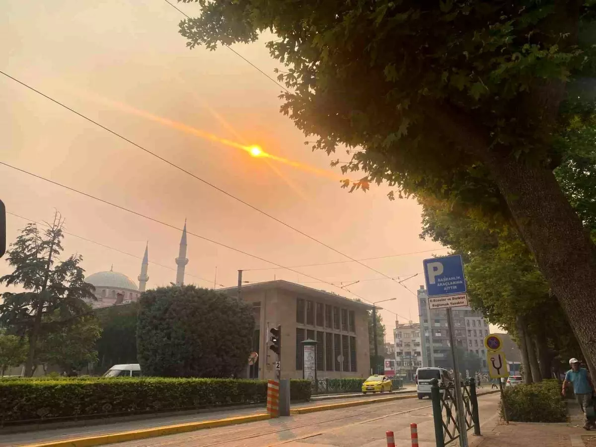 Sakarya'daki Yangın Eskişehir'i de Etkiledi