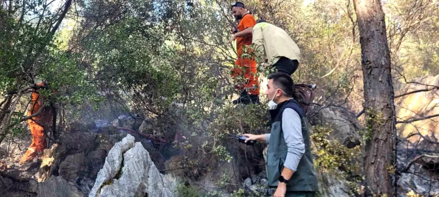 Antalya'nın Finike İlçesindeki Orman Yangını Kontrol Altına Alındı