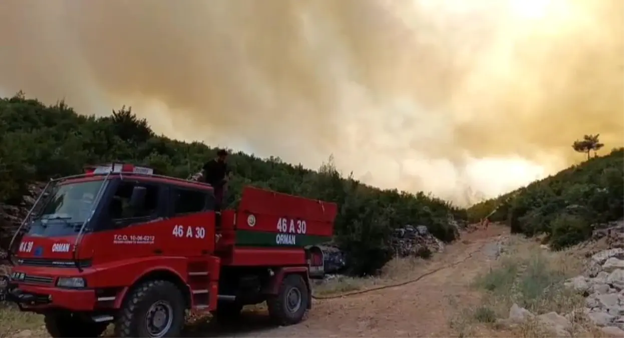 Gaziantep'te Orman Yangını: Ekipler Müdahaleye Başladı
