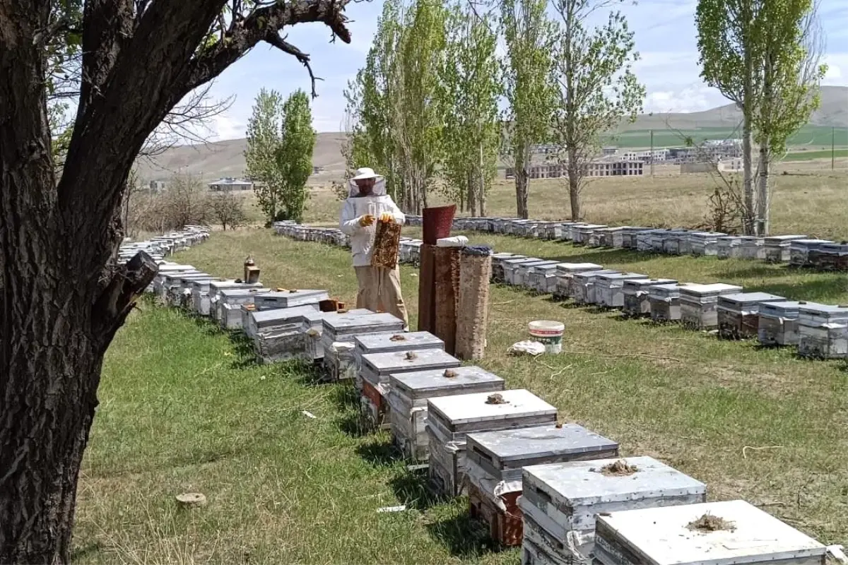 Hakkari'de 14 Projeye 38 Milyon TL Hibe Desteği