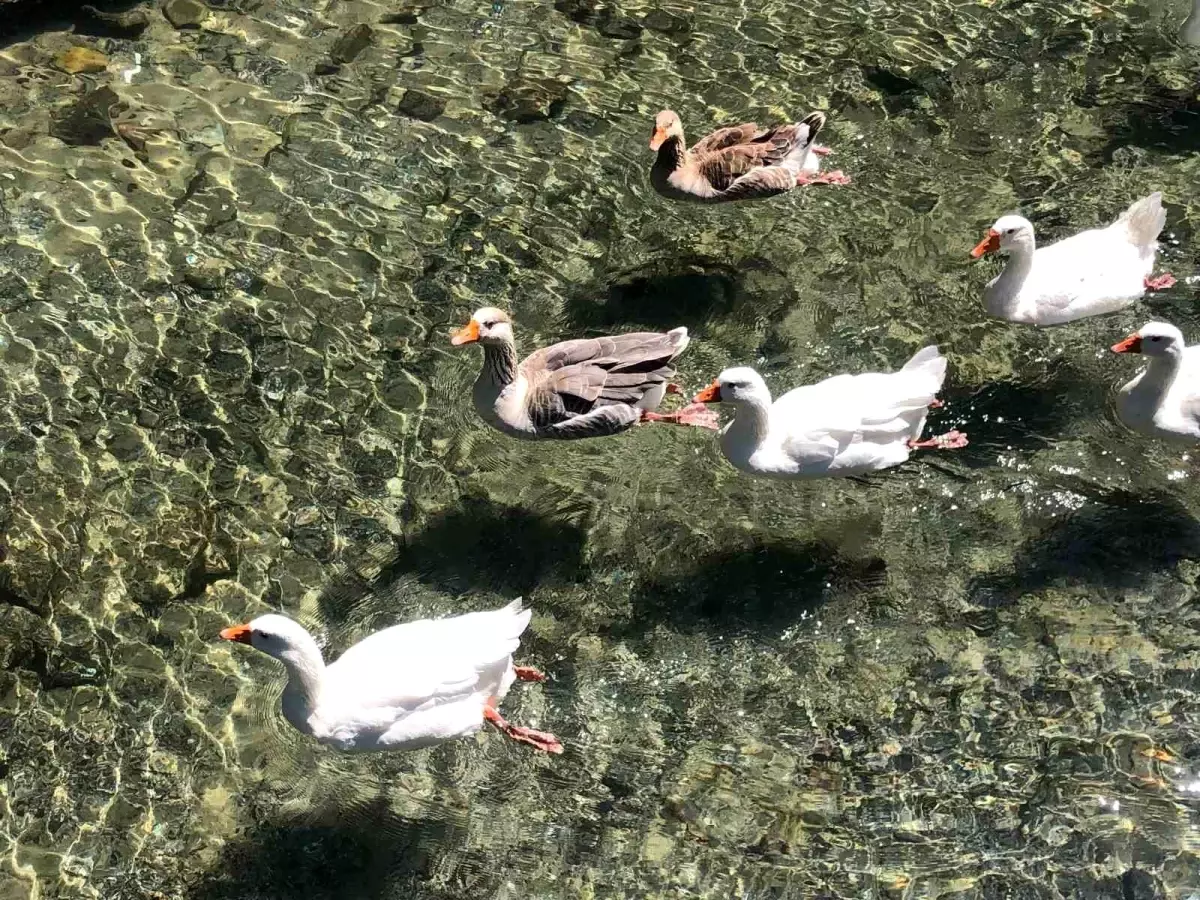 Eskişehir'deki THK İnönü Havacılık Eğitim Merkezi'nde Doğa Güzelliği