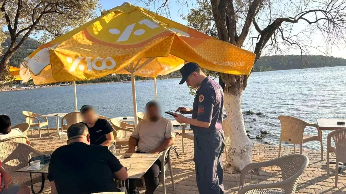 Didim'de Jandarma Uygulamaları: İş Yerleri ve Araçlar Kontrol Edildi