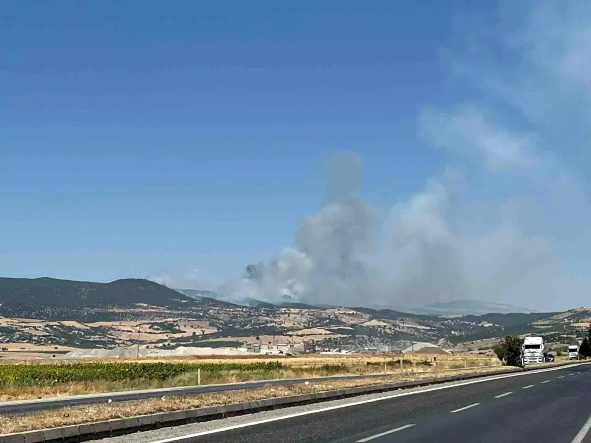 Kahramanmaraş'ta İki Orman Yangını: Yangın Söndürme Çalışmaları Devam Ediyor
