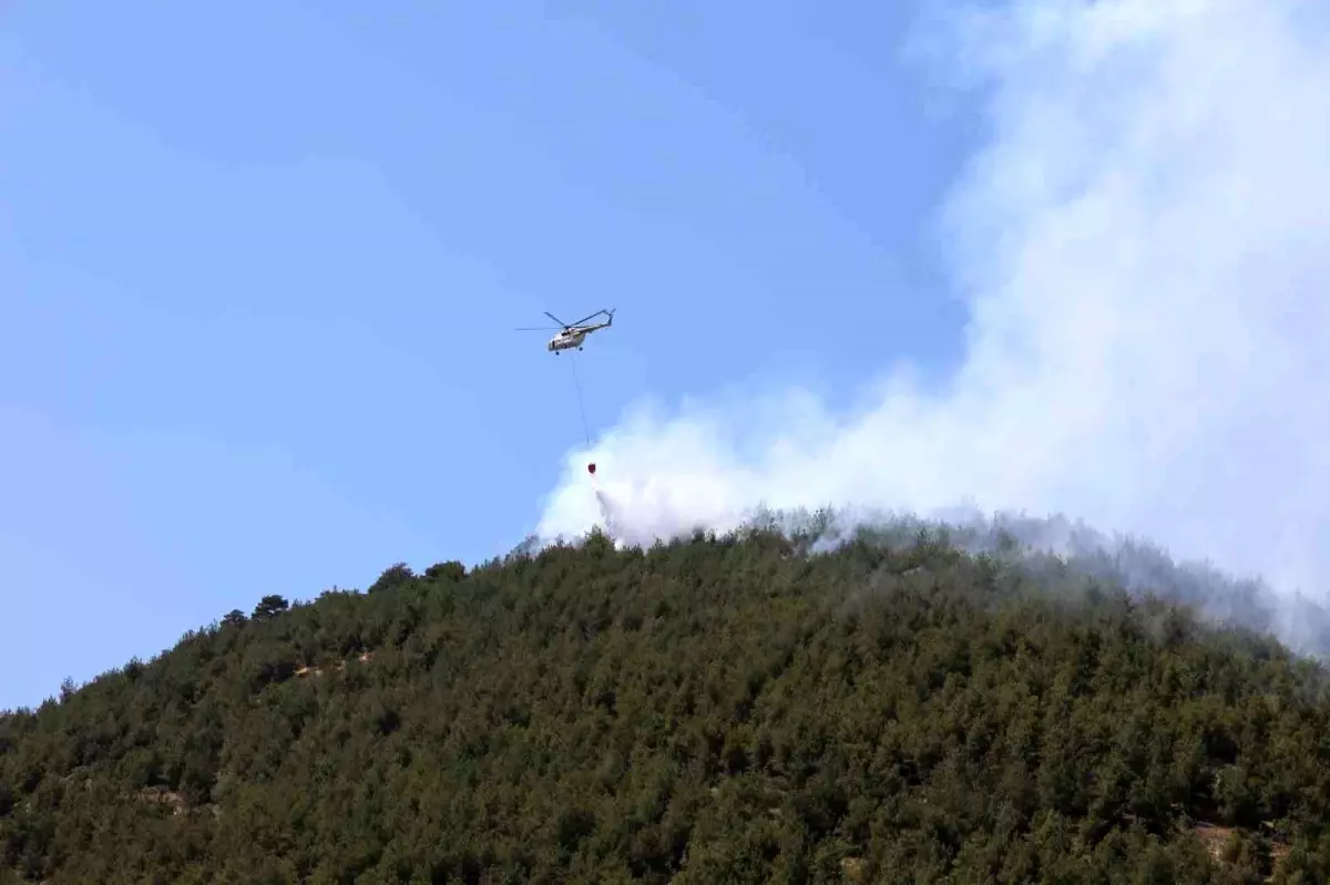 Kahramanmaraş'ta Orman Yangınları: Türkoğlu Kontrol Altında, Dulkadiroğlu'nda Sürekleniyor