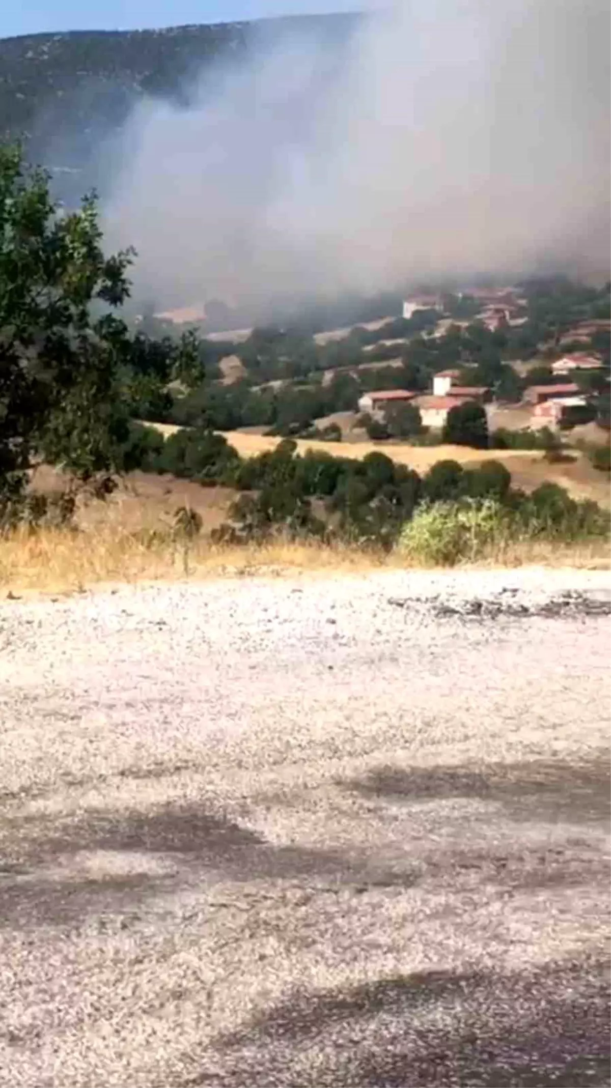 Balıkesir'in Kepsut ilçesindeki orman yangını köyü tehdit ediyor