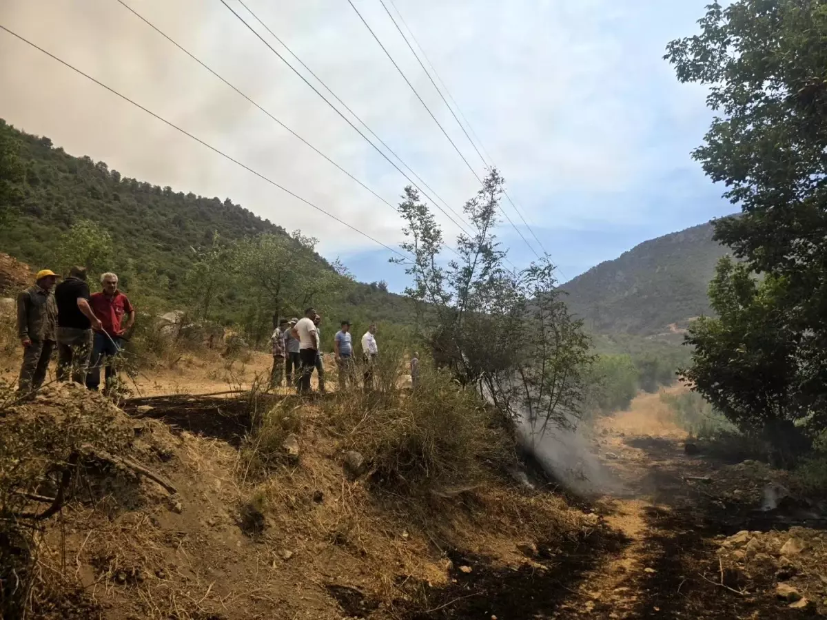 Bilecik'te Makilik Alanda Yangın Kontrol Altına Alındı