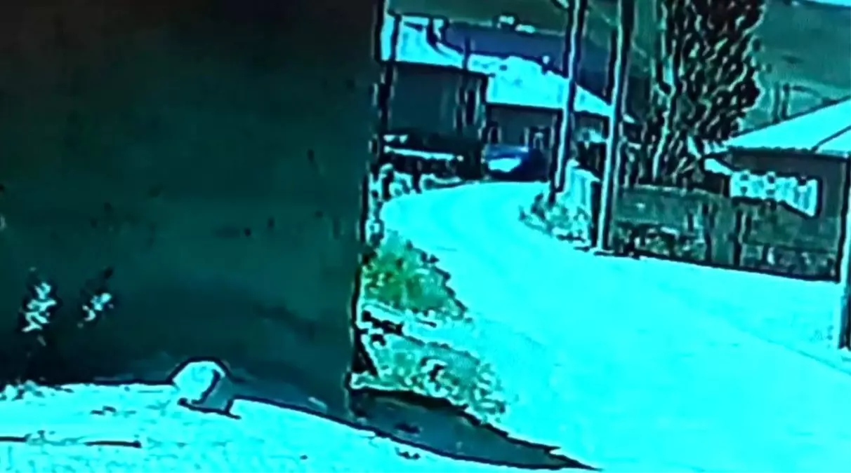 Van'da Lastiği Patlayan Kamyonet Duvara Çarptı, Oyun Oynayan Çocuklar Panik İçinde Kaçtı