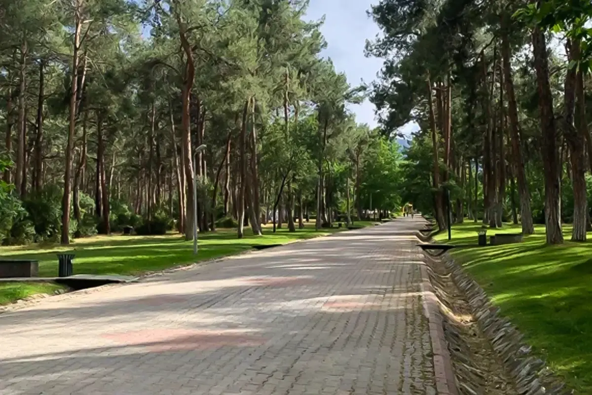 Parkta oturan genç kızları önce takip sonra taciz etti